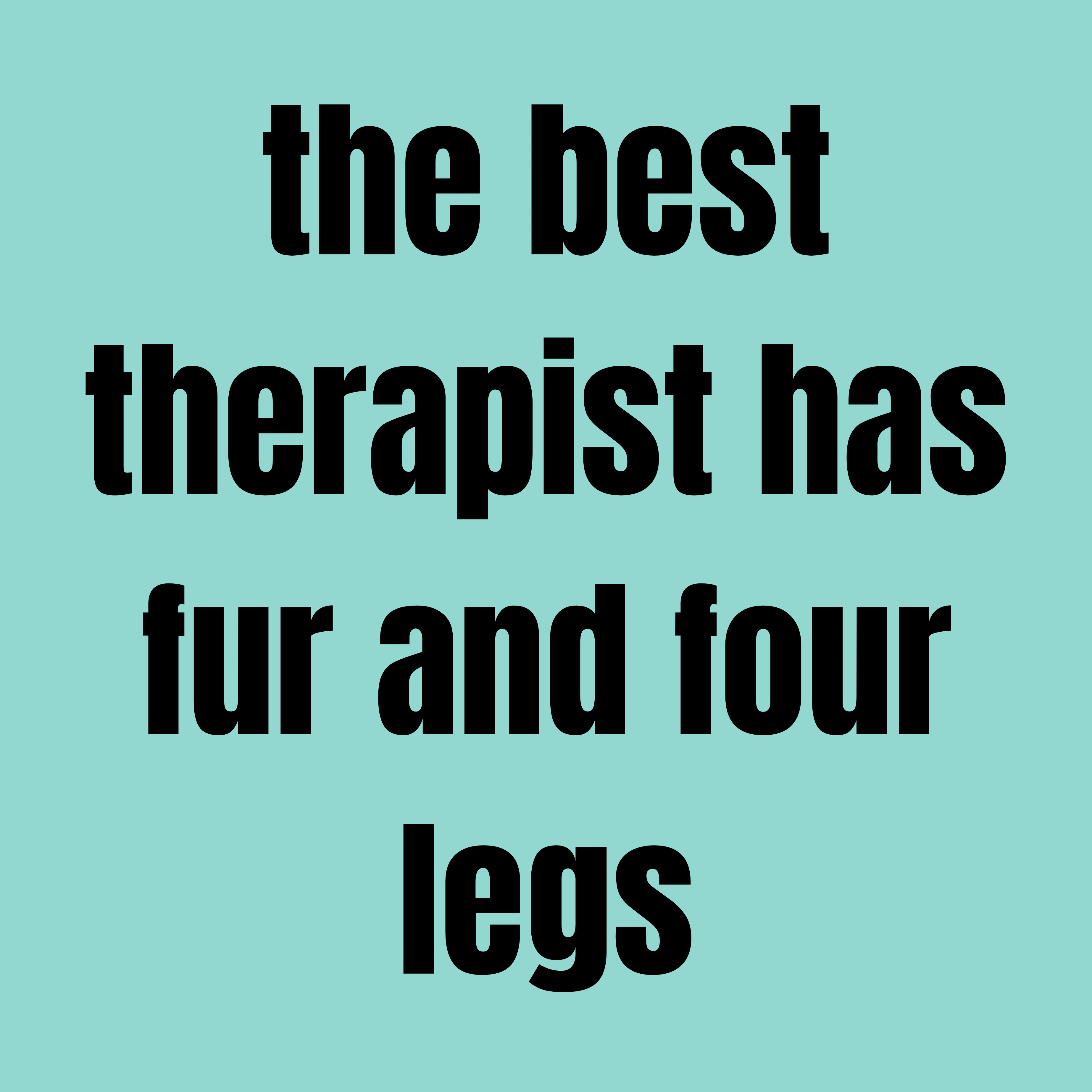 Pet Obsession