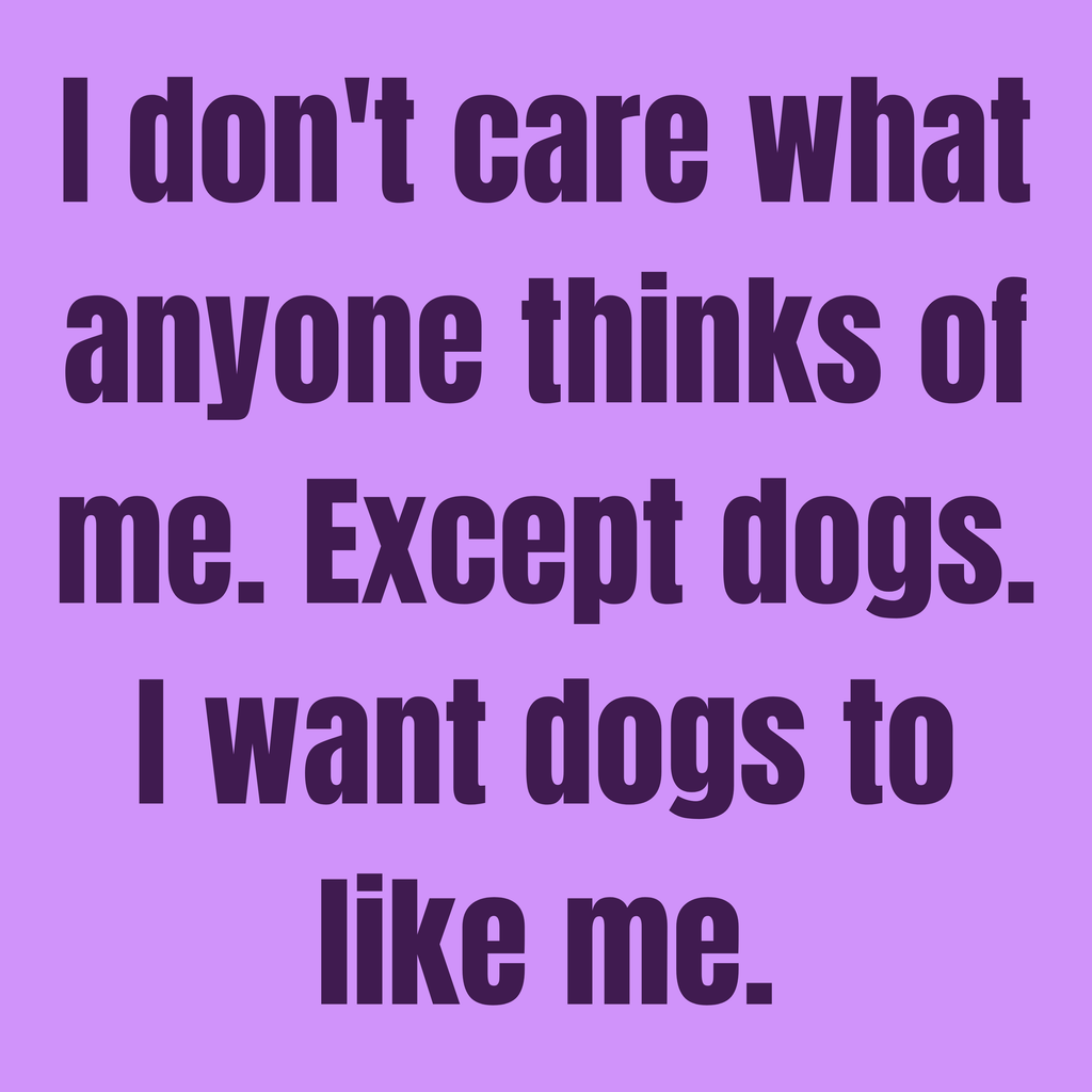 Pet Obsession