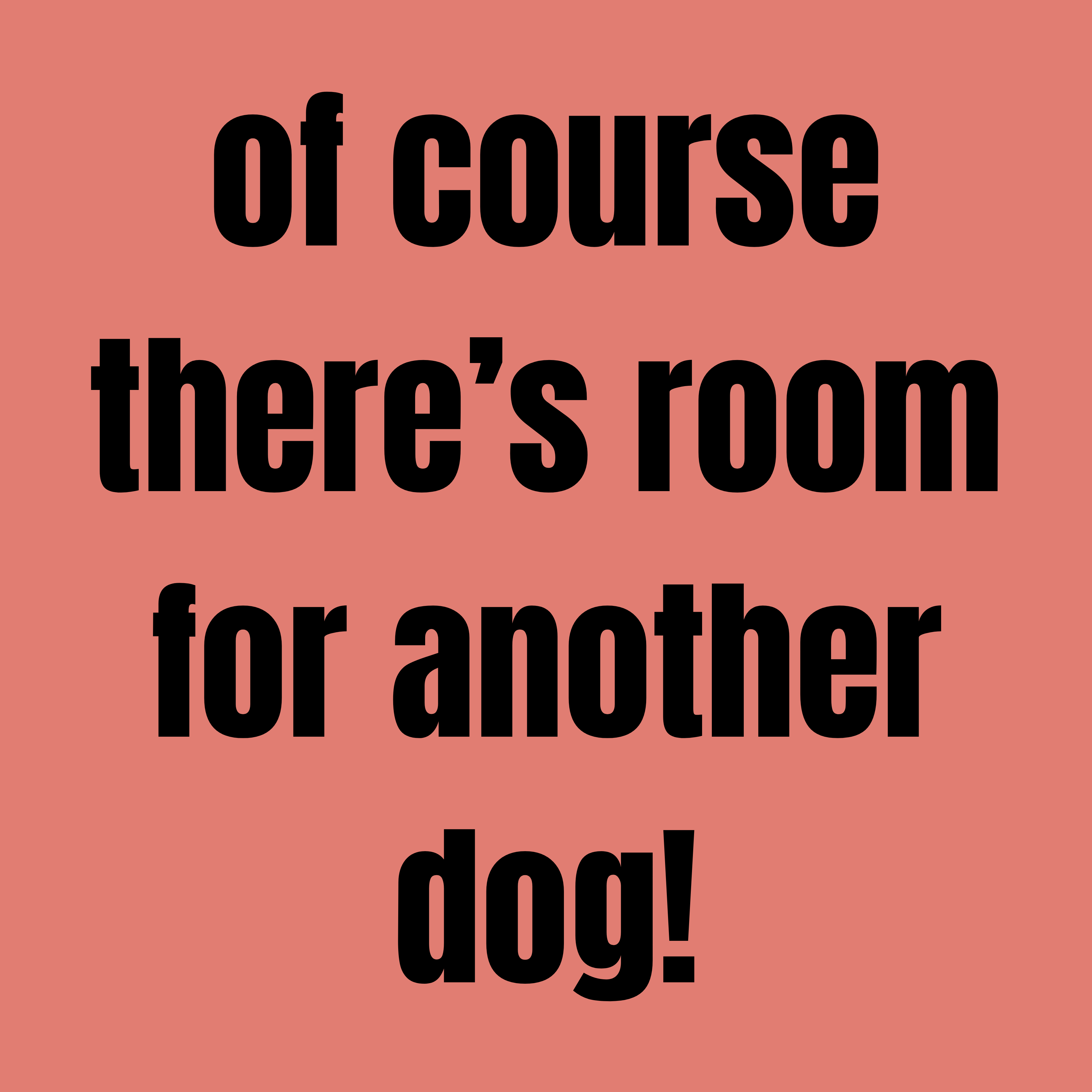 Pet Obsession
